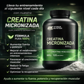 Creatina ON Micronizada 600 G